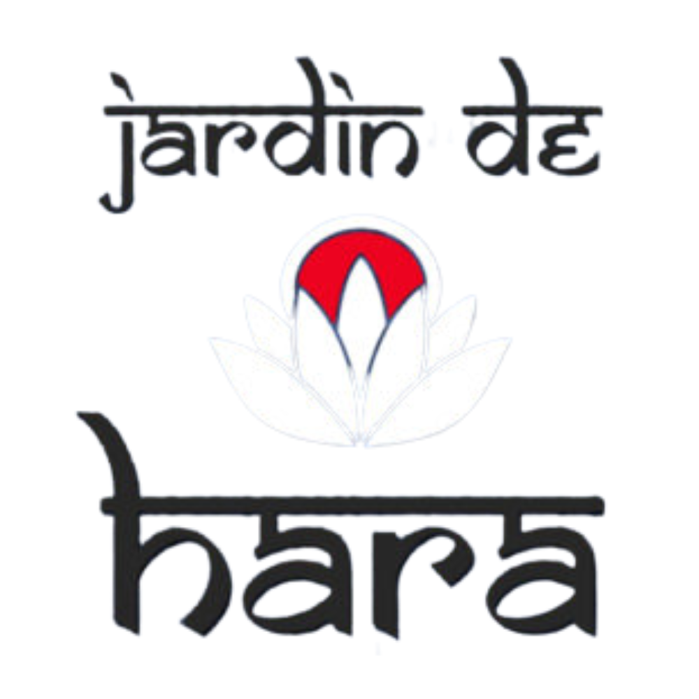 Diseno sin titulo 33